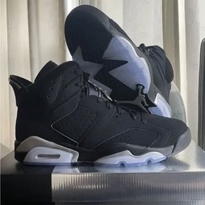 Jordan 6 Metallic Silver